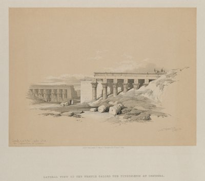 Egypt a Núbie, svazek II: Boční pohled na chrám s názvem Tyfoneum v Denderě, 1848. od Louis Haghe
