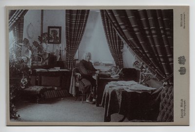 Franz Liszt (1811-1886) (1886, fotografie) od Louis Held