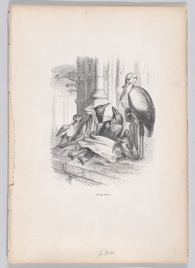 Byla jsem vdova ze Scén ze soukromého a veřejného života zvířat, ca. 1837-47. od Louis Henri Brévière