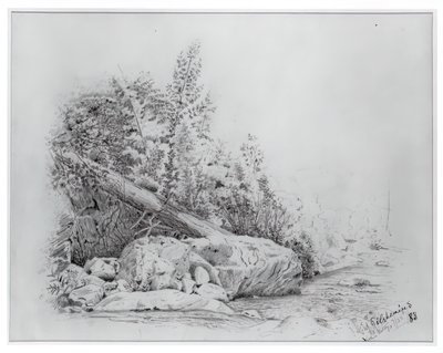 Fallen Tree, Keene Valley, 25. července 1883. od Louis Michel Eilshemius
