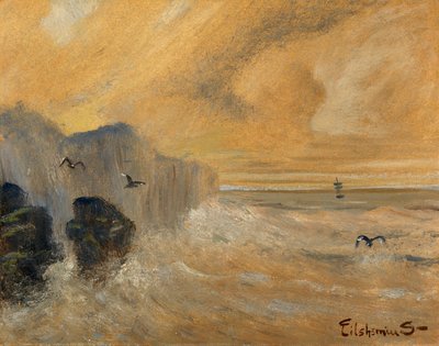 Skalnaté pobřeží, konec 19.-začátek 20. století. od Louis Michel Eilshemius