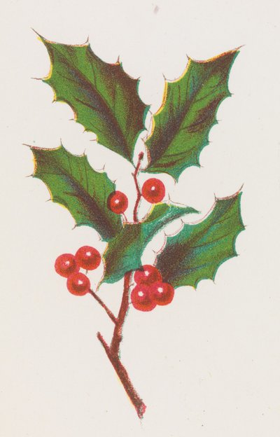 Holly, 1862. od Louis Prang