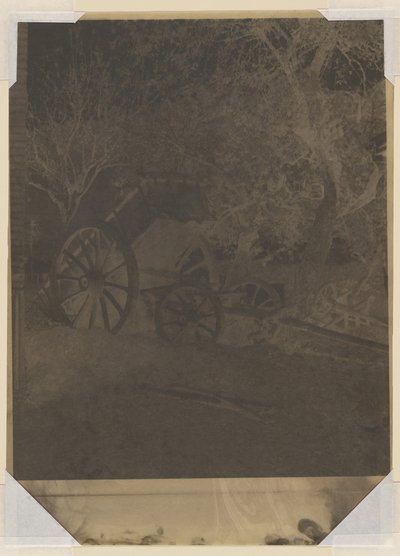 Košík od Louis Rémy Robert