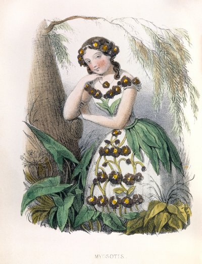 Alegorie , la Myosotis od Louis Simon (1810-1870) Lassalle