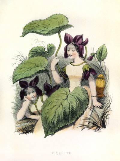 Alegorie , la Violette od Louis Simon (1810-1870) Lassalle