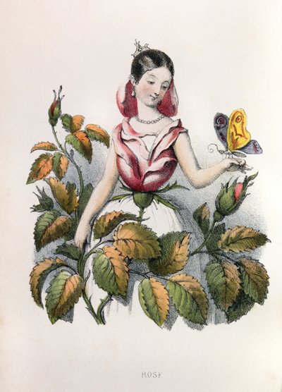 Alegorie, la rose od Louis Simon (1810-1870) Lassalle