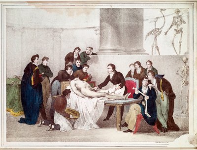 Lekce anatomie (litografie od Louis Thomas Bardel