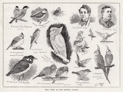 Bird Show v Crystal Palace (rytina) od Louis Wain