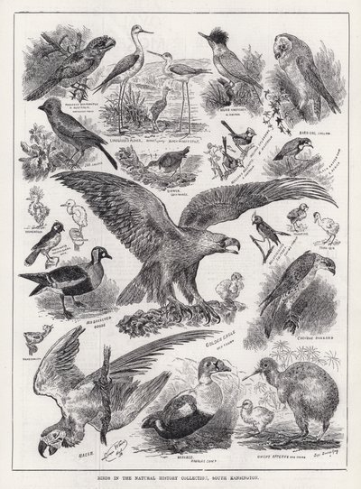 Závěsný od Louis Wain