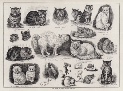 Závěsný od Louis Wain