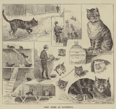 Kočičí domov v Battersea od Louis Wain