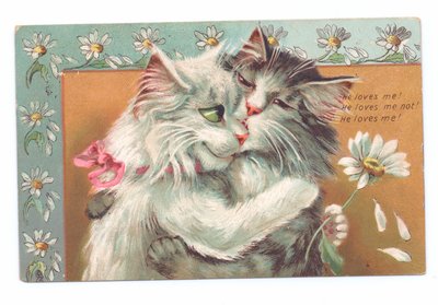 Edwardiánská pohlednice dvou koček, které se objímají, kolem roku 1910 od Louis Wain