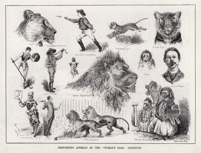 Závěsný od Louis Wain