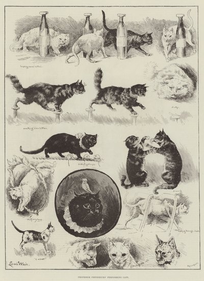 Účinkující kočky profesora Frederickse od Louis Wain