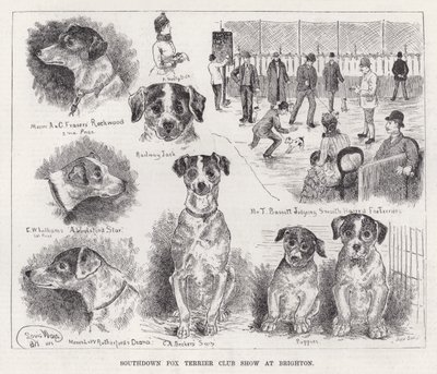 Southdown Fox Terrier Club Show v Brightonu (rytina) od Louis Wain