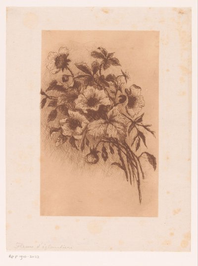 Květiny od Louise Elsen (attributed to)