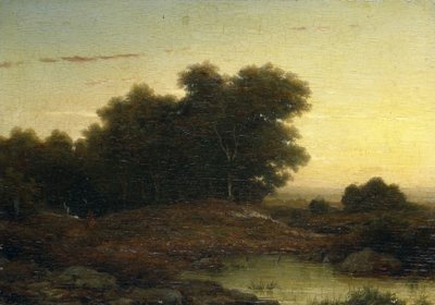 Pohled do lesa při západu slunce od Louwrens Hanedoes
