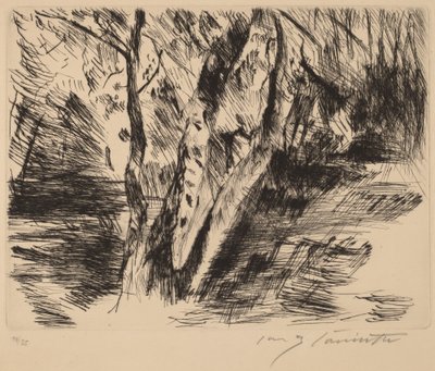 Břízy v Tiergarten od Lovis Corinth