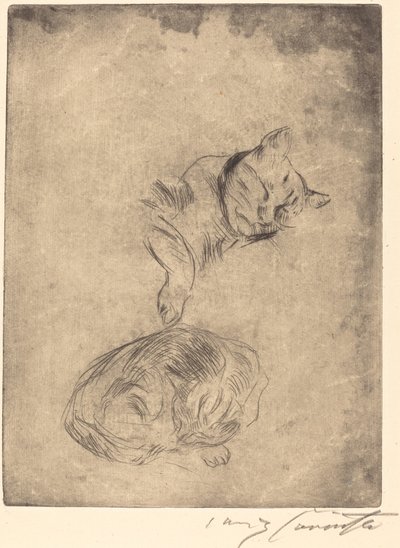 Katzenstudie (studie koček) od Lovis Corinth