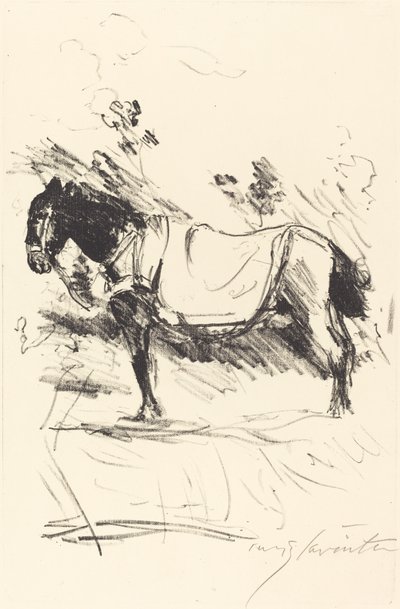 Jezdecký kůň Reitpferd, 1916. od Lovis Corinth