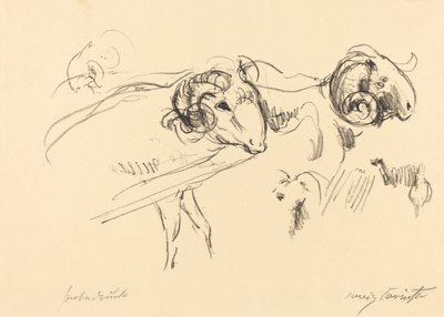Schafböcke (Berani) od Lovis Corinth