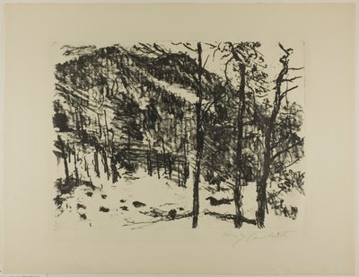 Údolí, od časného jara v horách od Lovis Corinth