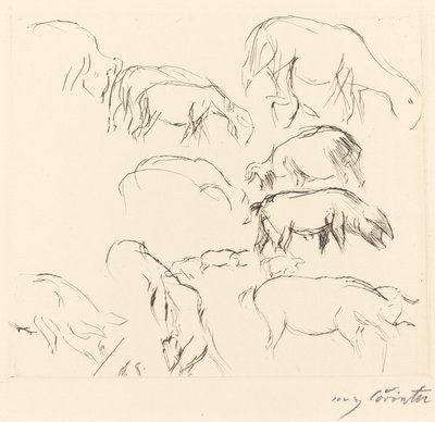 Různé studie na zvířatech Studie na zvířatech, 1917. od Lovis Corinth