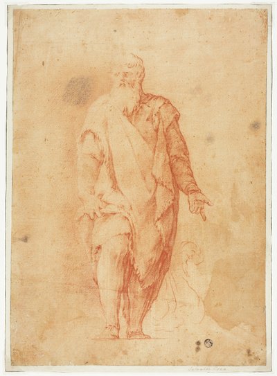 Stojící vousatý muž od Luca Giordano