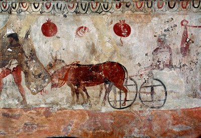 Ošetřovatel stáda a dva osli lucanská freska ze 4. století před naším letopočtem z nekropole Paestum v Itálii. Museo nazionale archeologico, Paestum od Lucanian School