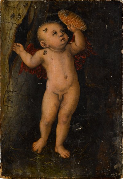 Amor als Honigdieb (Fragment) od Lucas Cranach