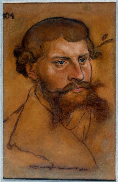 Portrét saského vévody Ernesta IV., knížete reformy Kresba Lucase Cranacha Starého od Lucas Cranach