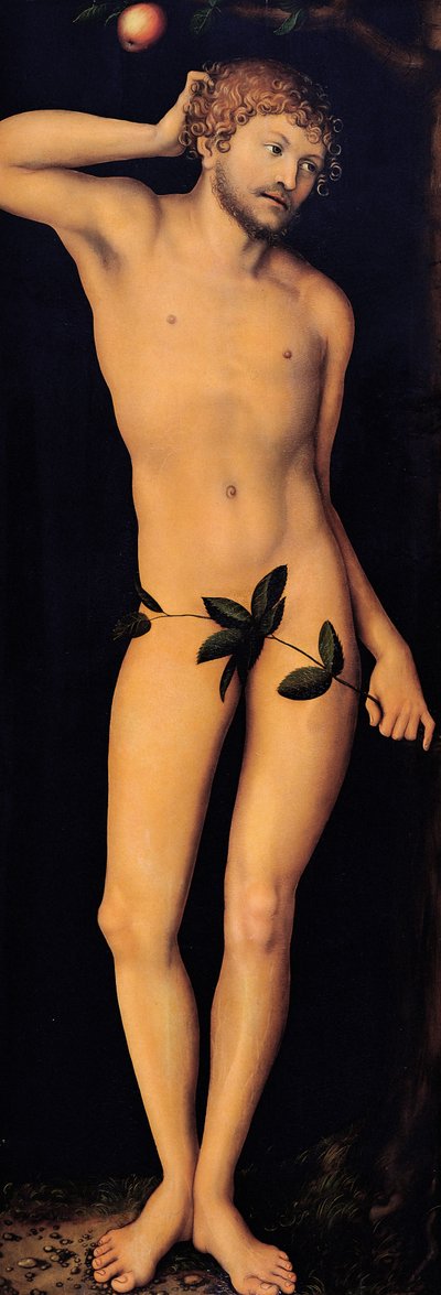 Adam, 1528. od Lucas Cranach the Elder