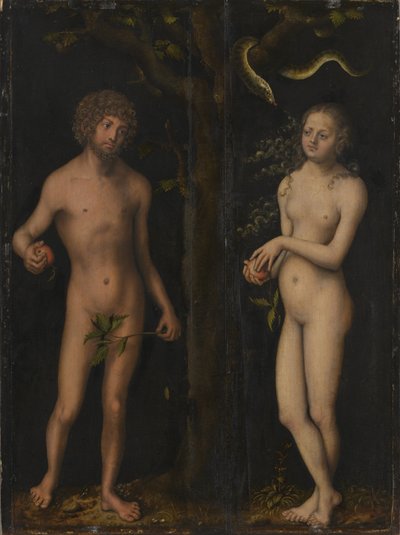 Německy: Adam und Eva Adam a Eva od Lucas Cranach the Elder