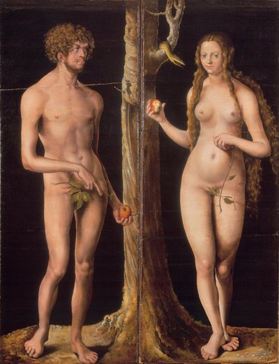 Německy: Adam und Eva Adam a Eva od Lucas Cranach the Elder