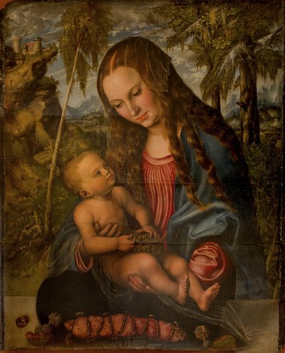 Madona pod jedlí od Lucas Cranach the Elder