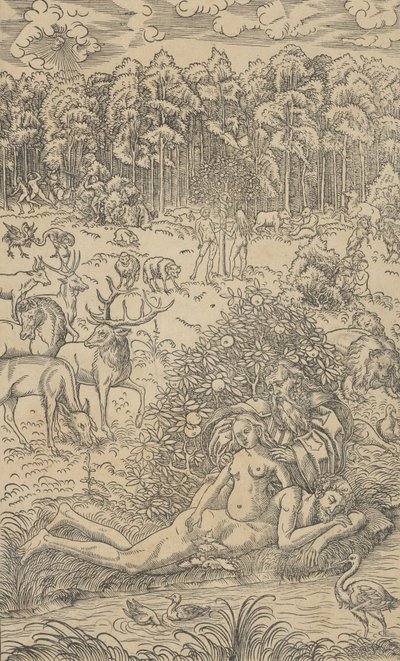 Stvoření Evy od Lucas Cranach the Younger  