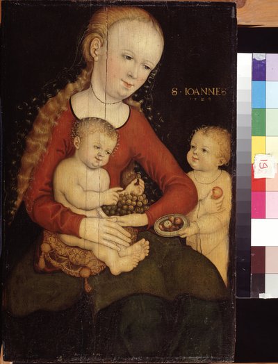 "Madona a dítě se svatým Janem Křtitelem dítětem"" (Panna a dítě s Johnem Křtitelem jako chlapec) Malba Lucase Cranacha staršího (1472-1553) Puškinovo muzeum 16. století, Moskva od Lucas the Elder Cranach