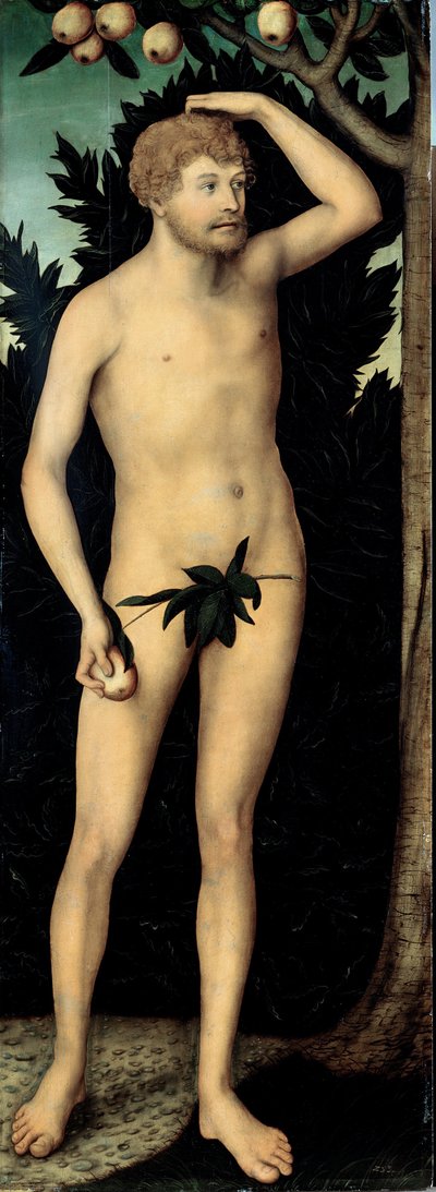 "Adam"" Obraz Lucase Cranacha II. mladšího (1515-1586) Po roce 1537 Rozměr 171 x 63 cm Německo Drážďany Státní umělecké sbírky od Lucas the Younger Cranach