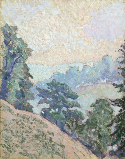 Brookleton Dale, Youlgrave, Derbyshire od Lucien Pissarro