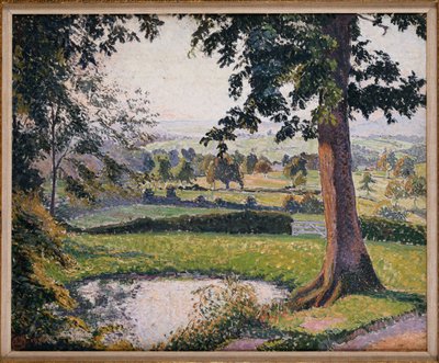 Rybník Gunville, Sedgeville od Lucien Pissarro