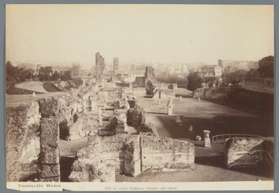 Ruiny císařských paláců na Palatinu v Římě Aedes Pubblica, Palazzo dei Cesari (název na objektu) od Ludovico Tuminello