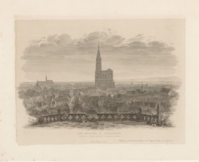 Portrét katedrály Straatsburg Minster ve Štrasburku při pohledu z východní věže Tomášského kostela (název na objektu) od Ludwig Friedrich Schnell