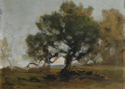 krajina od Ludwig Willroider