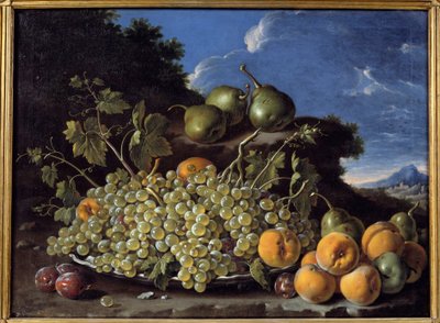 Hrozny, hrušky, broskve a švestky Malba Luise Melendeze (1716-1780) od Luis Egidio Menendez or Melendez