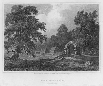 Newminster Abbey, Northumberland (rytina) od Luke (after) Clennell