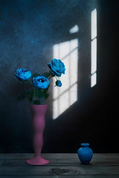 Světlo z okna s modrými růžemi od Lydia Jacobs