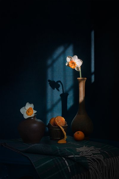 Narcisy, citrusy a stíny od Lydia Jacobs