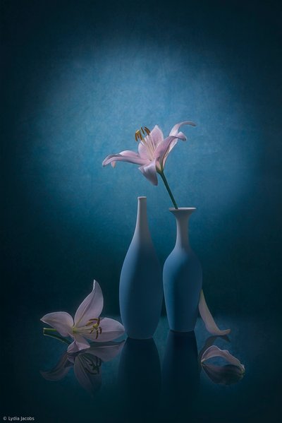 Elegantní modré lilie od Lydia Jacobs