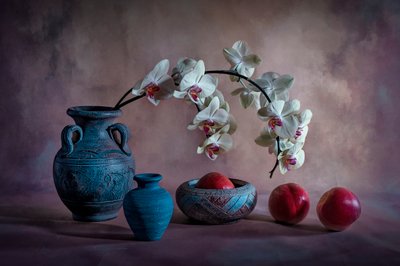 Elegantní zátiší s orchidejemi od Lydia Jacobs
