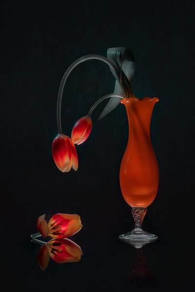 Zářivé zátiší s tulipány od Lydia Jacobs
